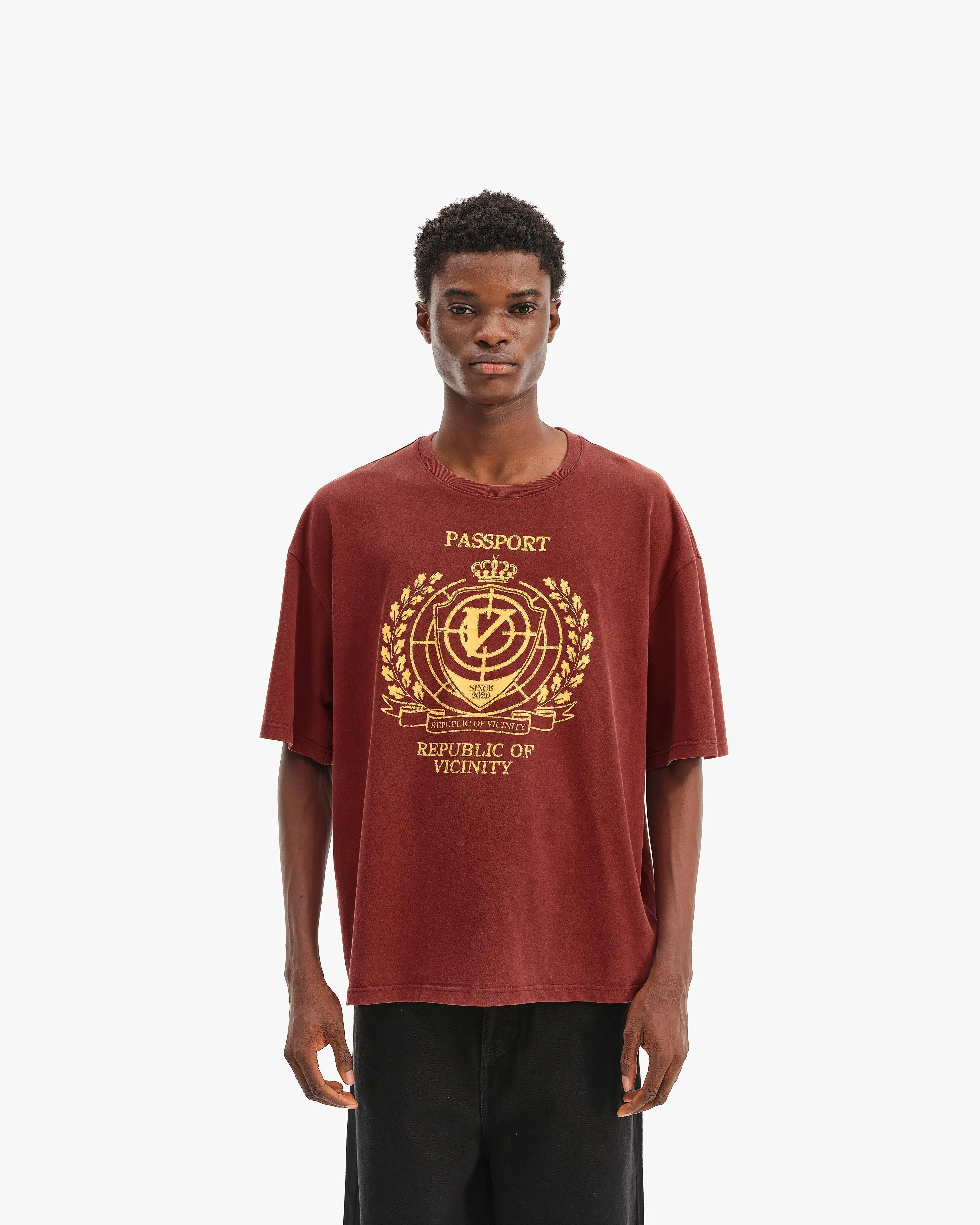 PASSPORT TEE WASHED RED sold by vicinity product image thumbnail 2