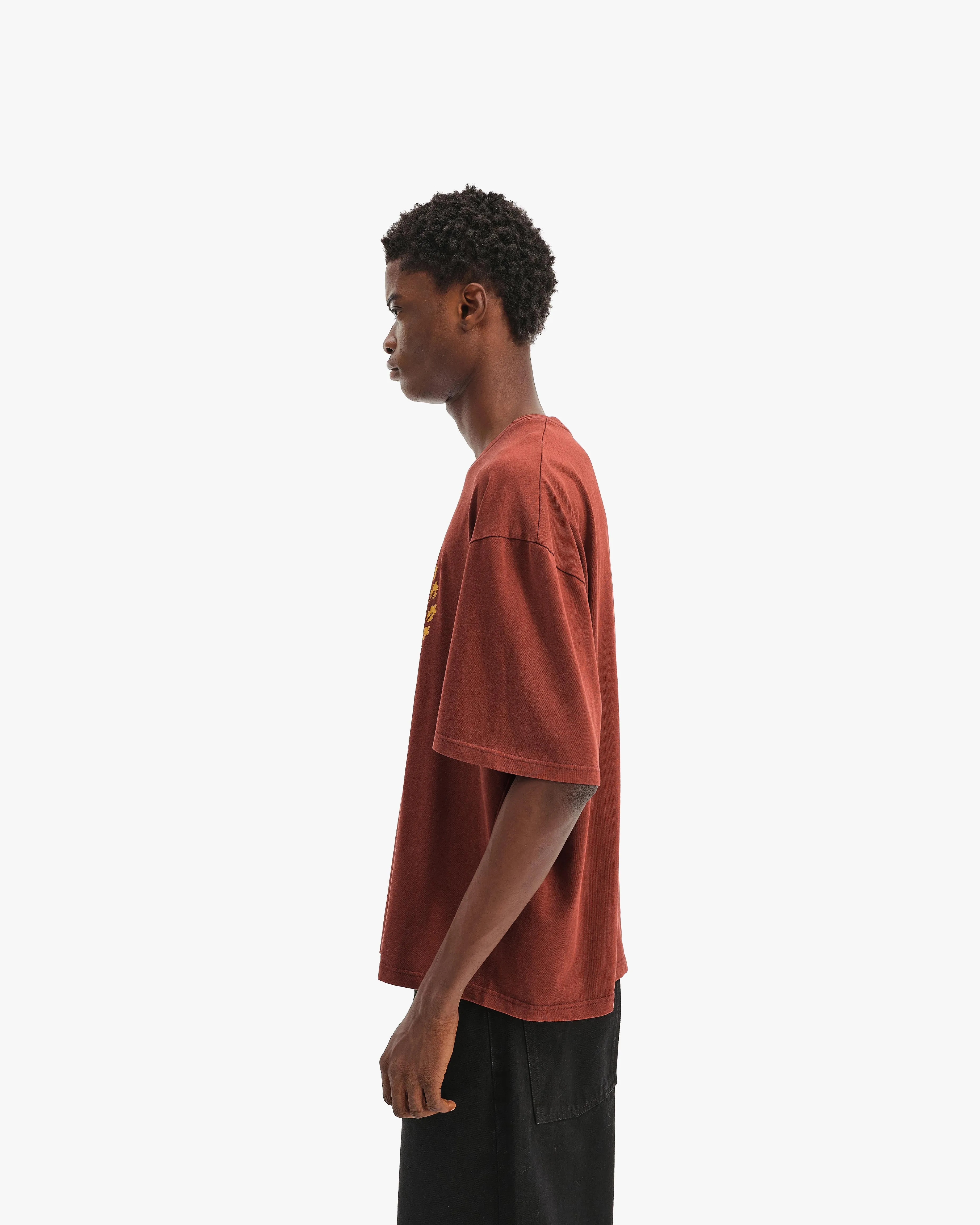PASSPORT TEE WASHED RED sold by vicinity product image thumbnail 4