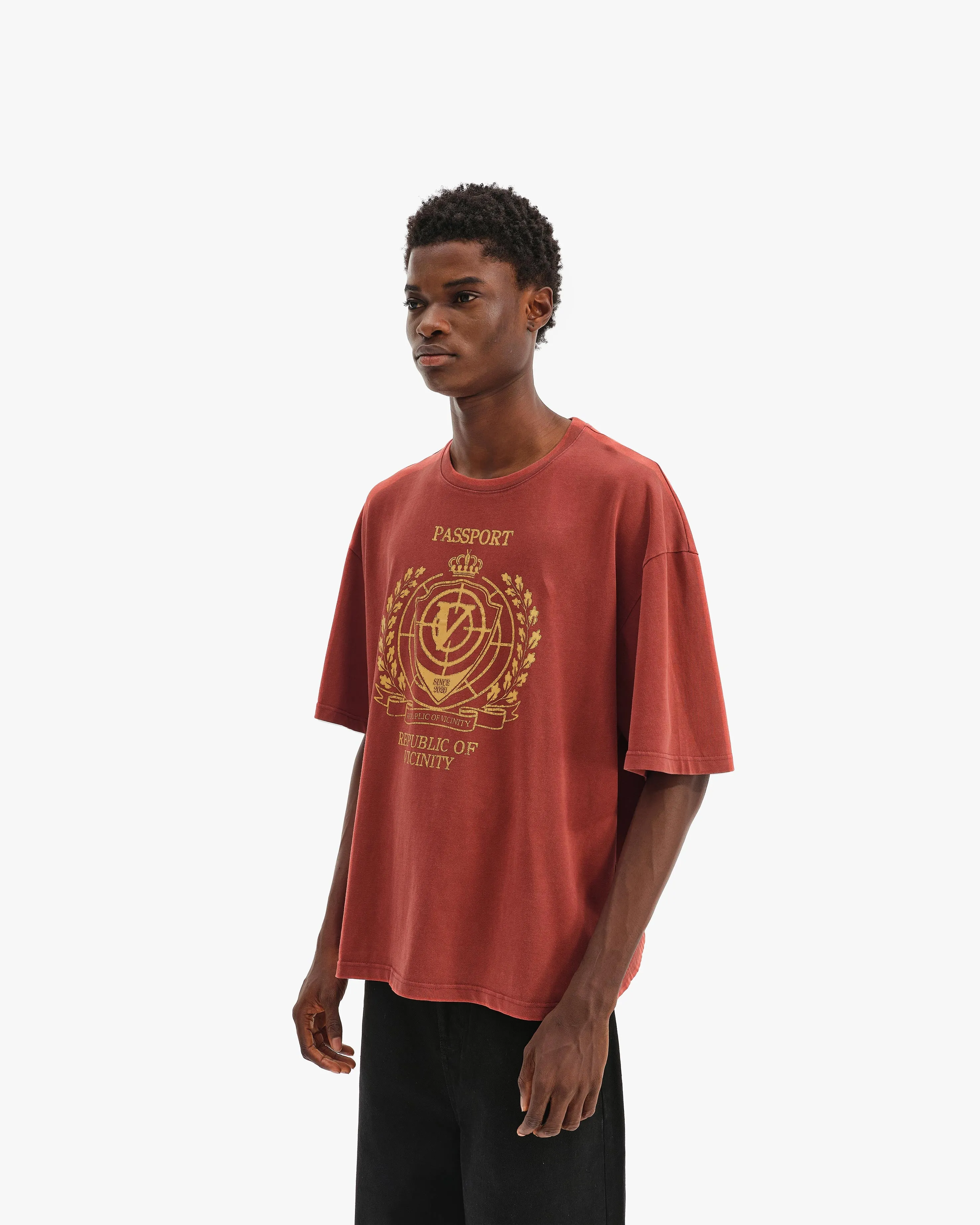 PASSPORT TEE WASHED RED sold by vicinity product image thumbnail 3