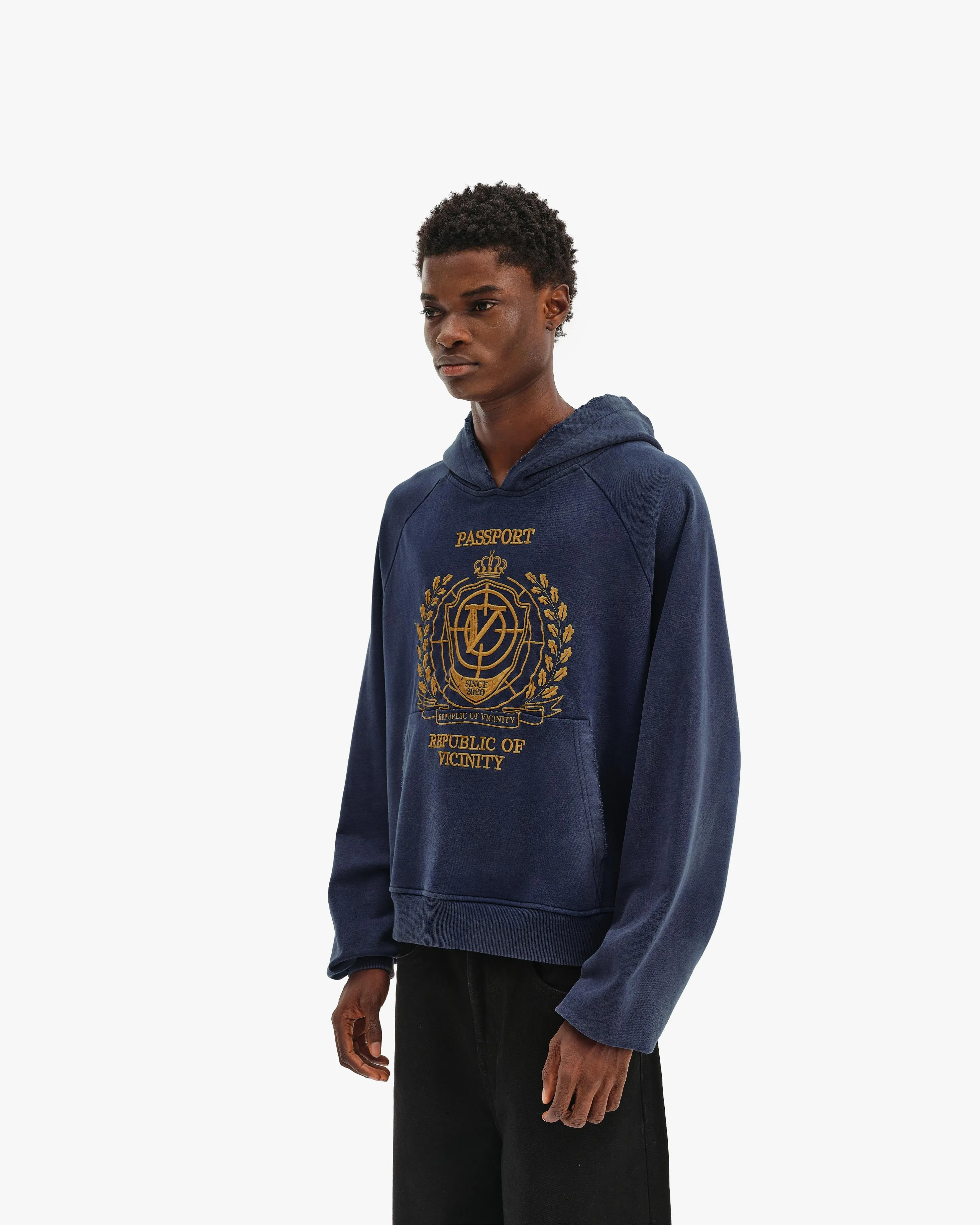 PASSPORT HOODIE WASHED BLUE sold by vicinity product image thumbnail 3