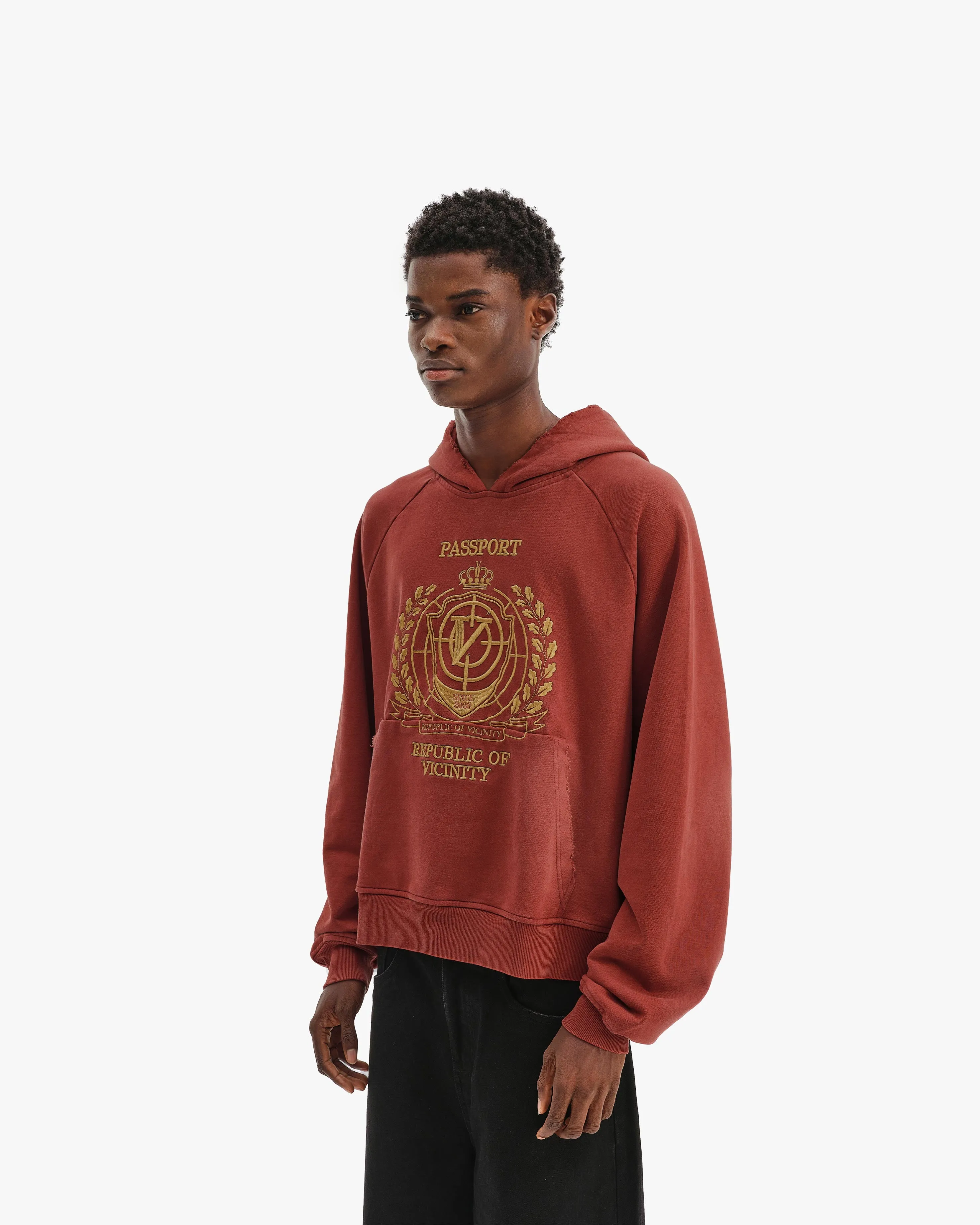 PASSPORT HOODIE WASHED RED sold by vicinity product image thumbnail 3