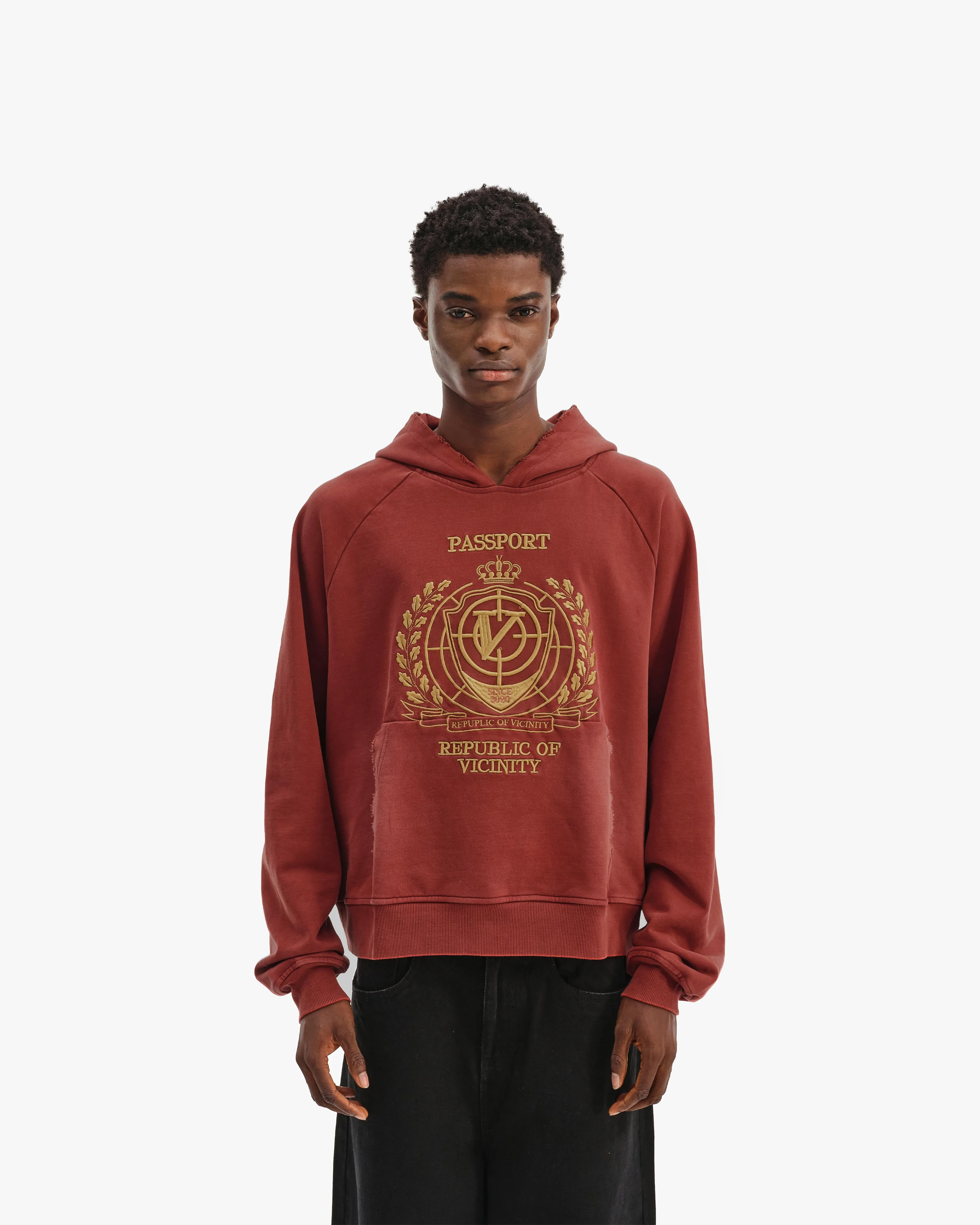 PASSPORT HOODIE WASHED RED sold by vicinity product image thumbnail 2