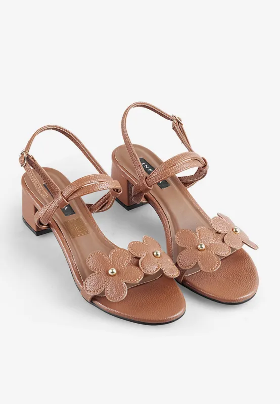 Daisy in Brown sold by INPACA