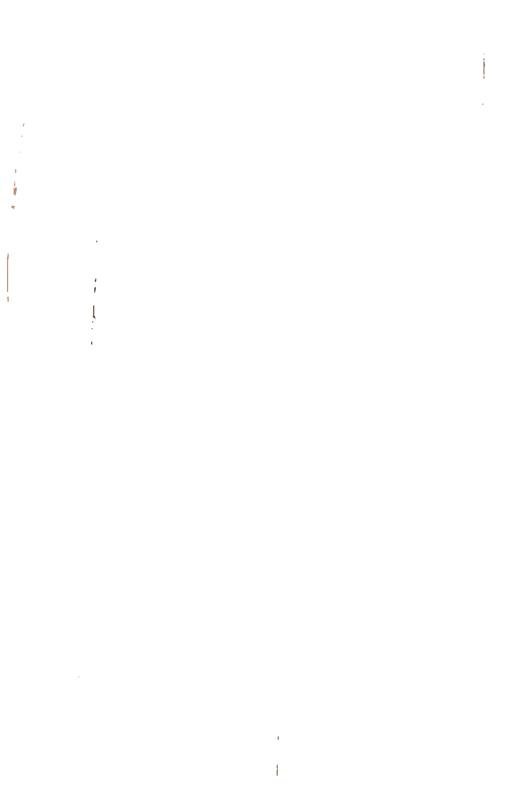 Tara Top Soft Ivory sold by Sunday Swim product image thumbnail 3