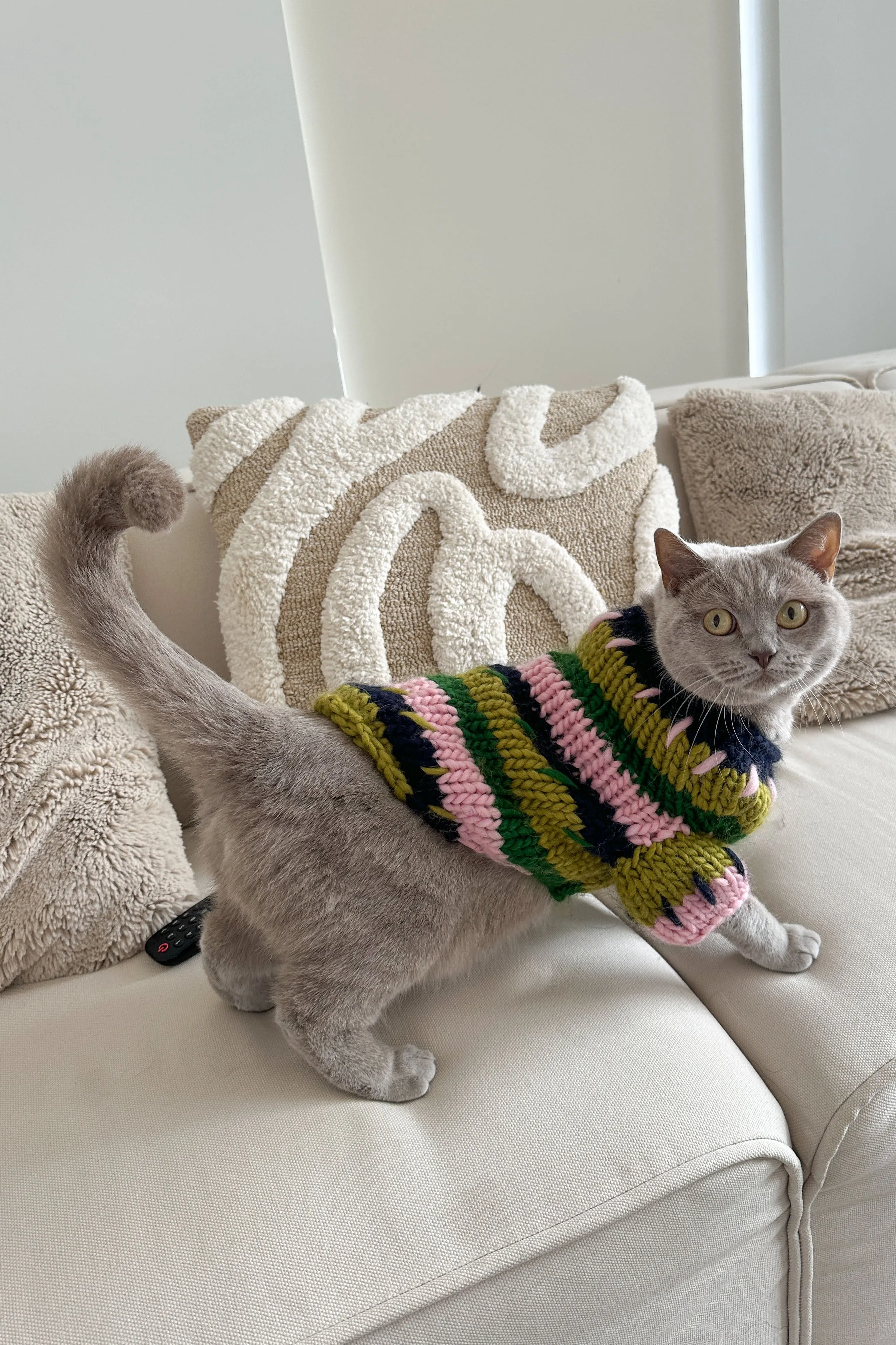 Winnie Chunky Knit Pet Sweater sold by Hope Macaulay product image thumbnail 3