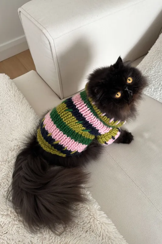 Winnie Chunky Knit Pet Sweater sold by Hope Macaulay