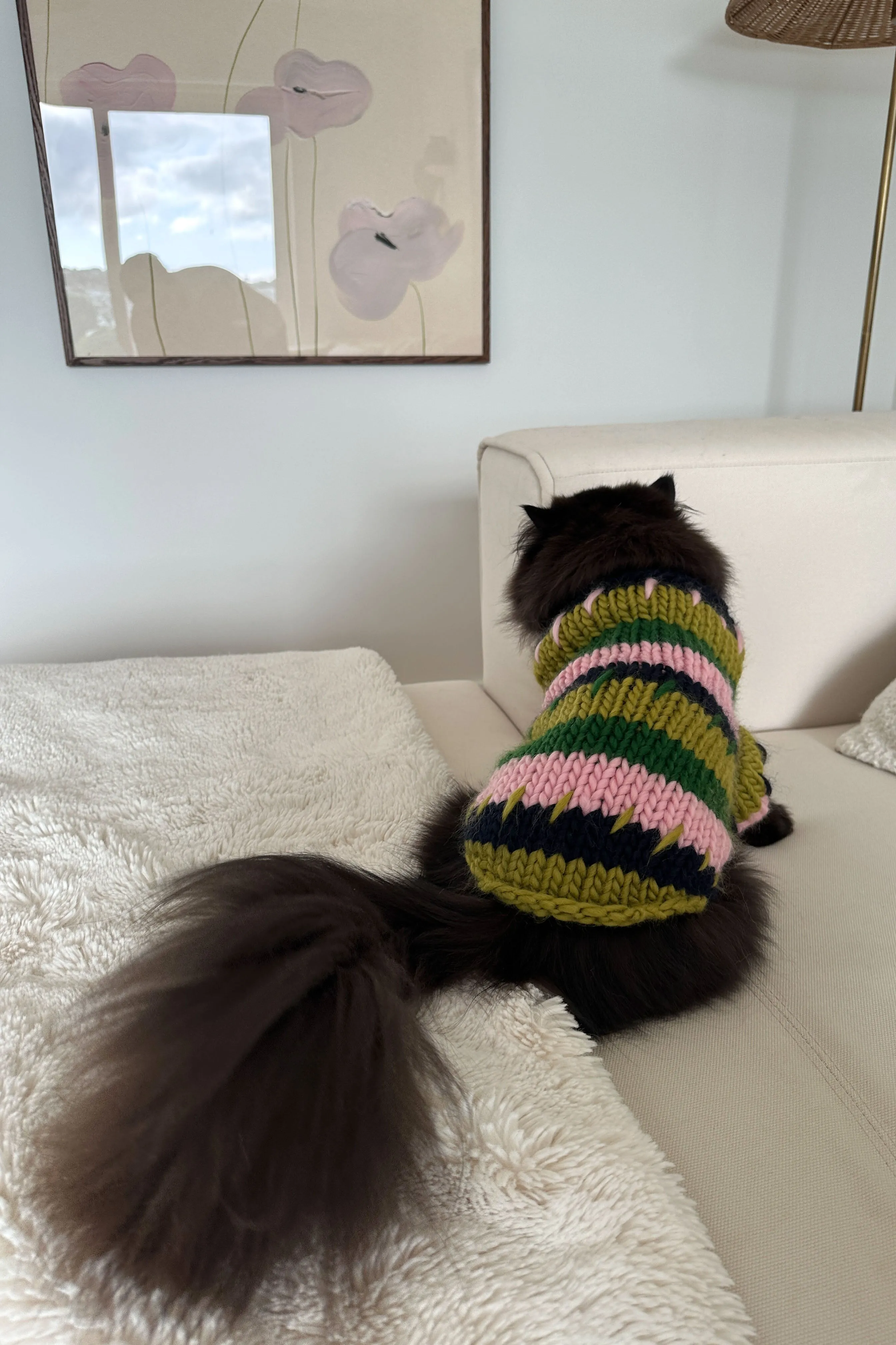 Winnie Chunky Knit Pet Sweater sold by Hope Macaulay product image thumbnail 4