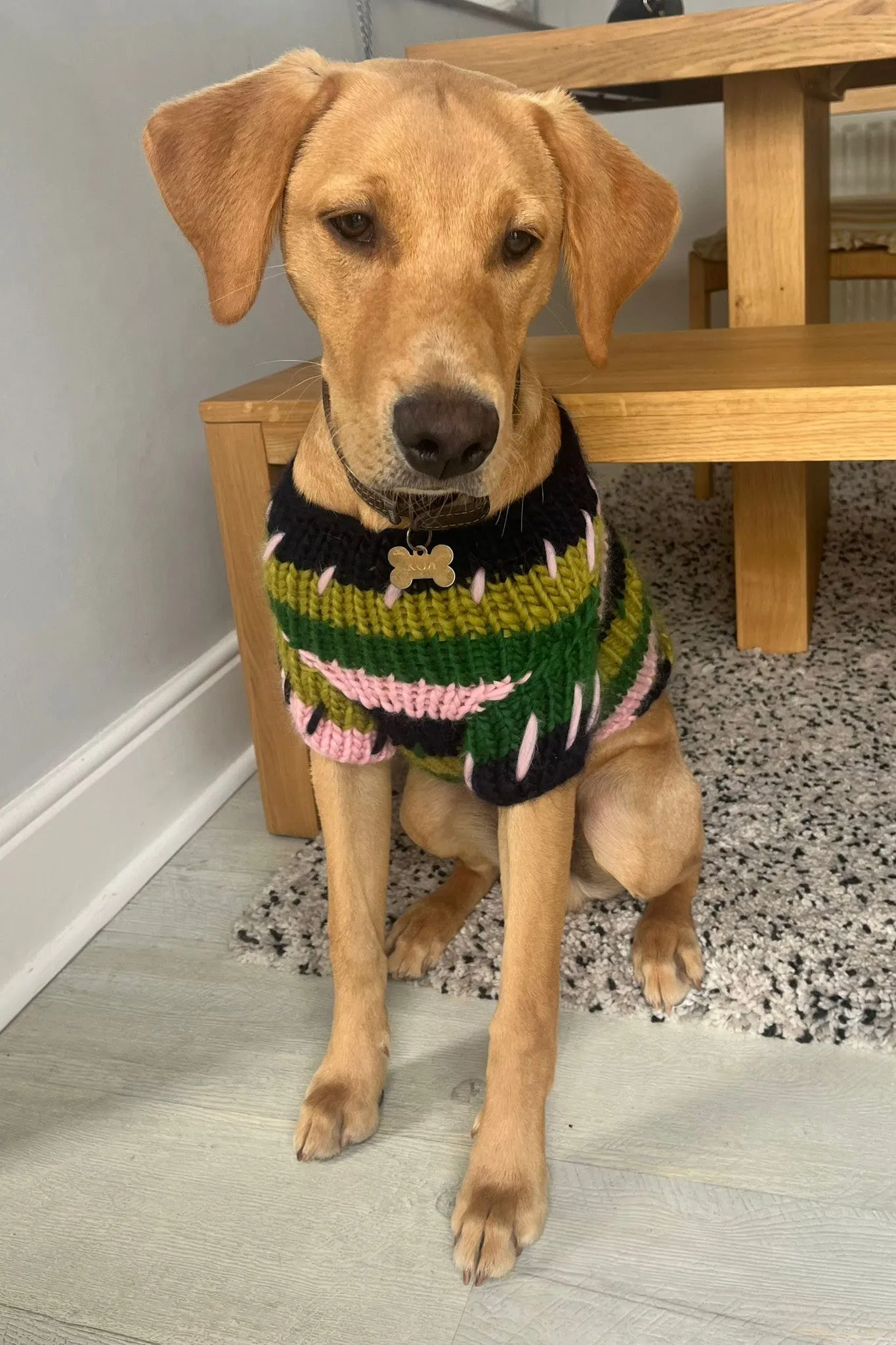 Winnie Chunky Knit Pet Sweater sold by Hope Macaulay product image thumbnail 2