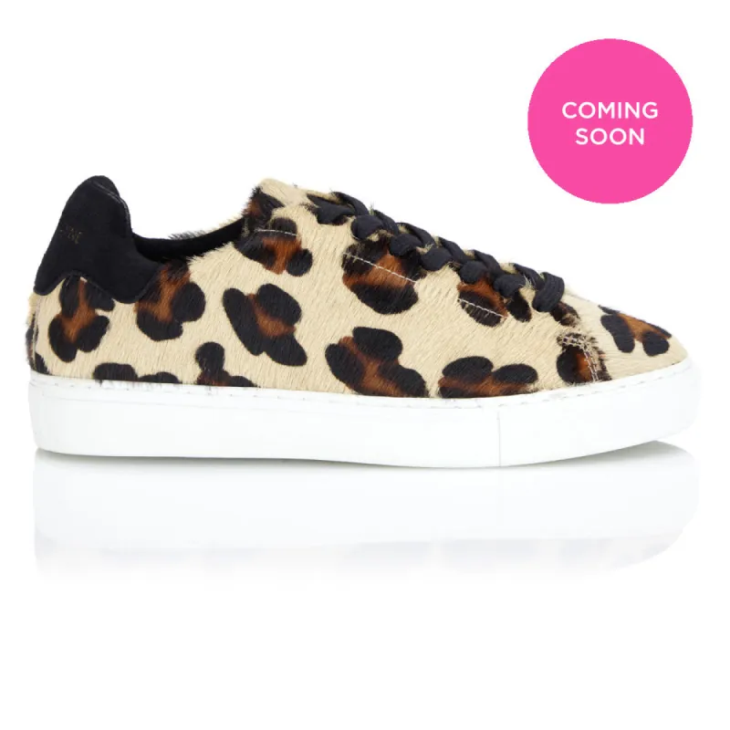 Classic Trainer - Leopard/Black sold by Nicki Hoyne