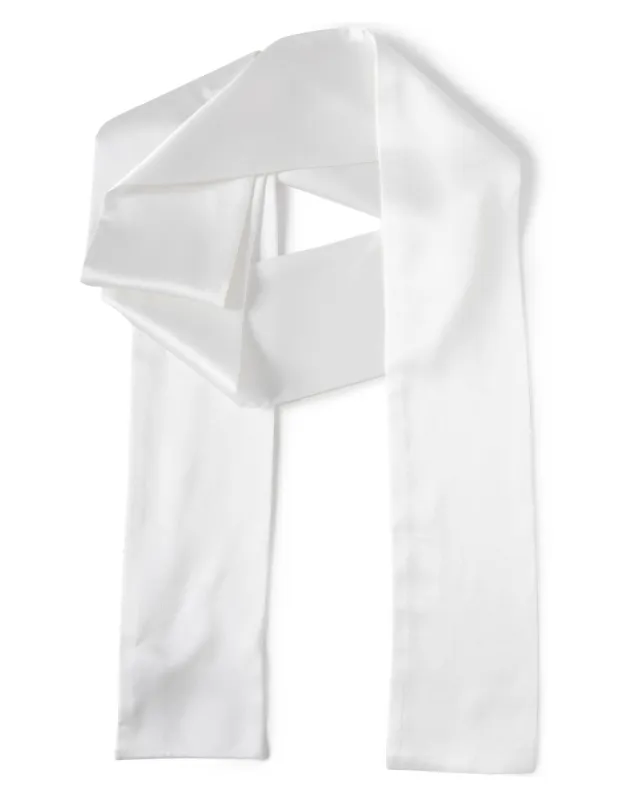 Neck Tie sold by TNT Fashion