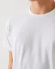 Short Sleeve Micro Print Cotton Tee sold by TNT Fashion