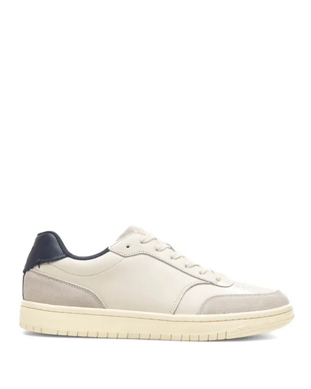 Wolfe Sneakers sold by TNT Fashion