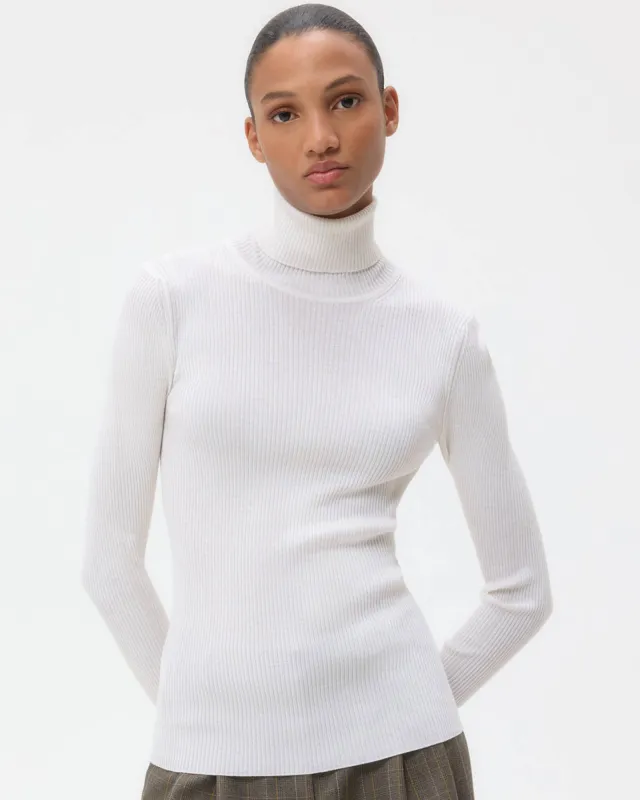 Knit Turtleneck sold by TNT Fashion