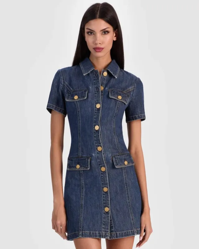 Jamie Denim Dress sold by TNT Fashion