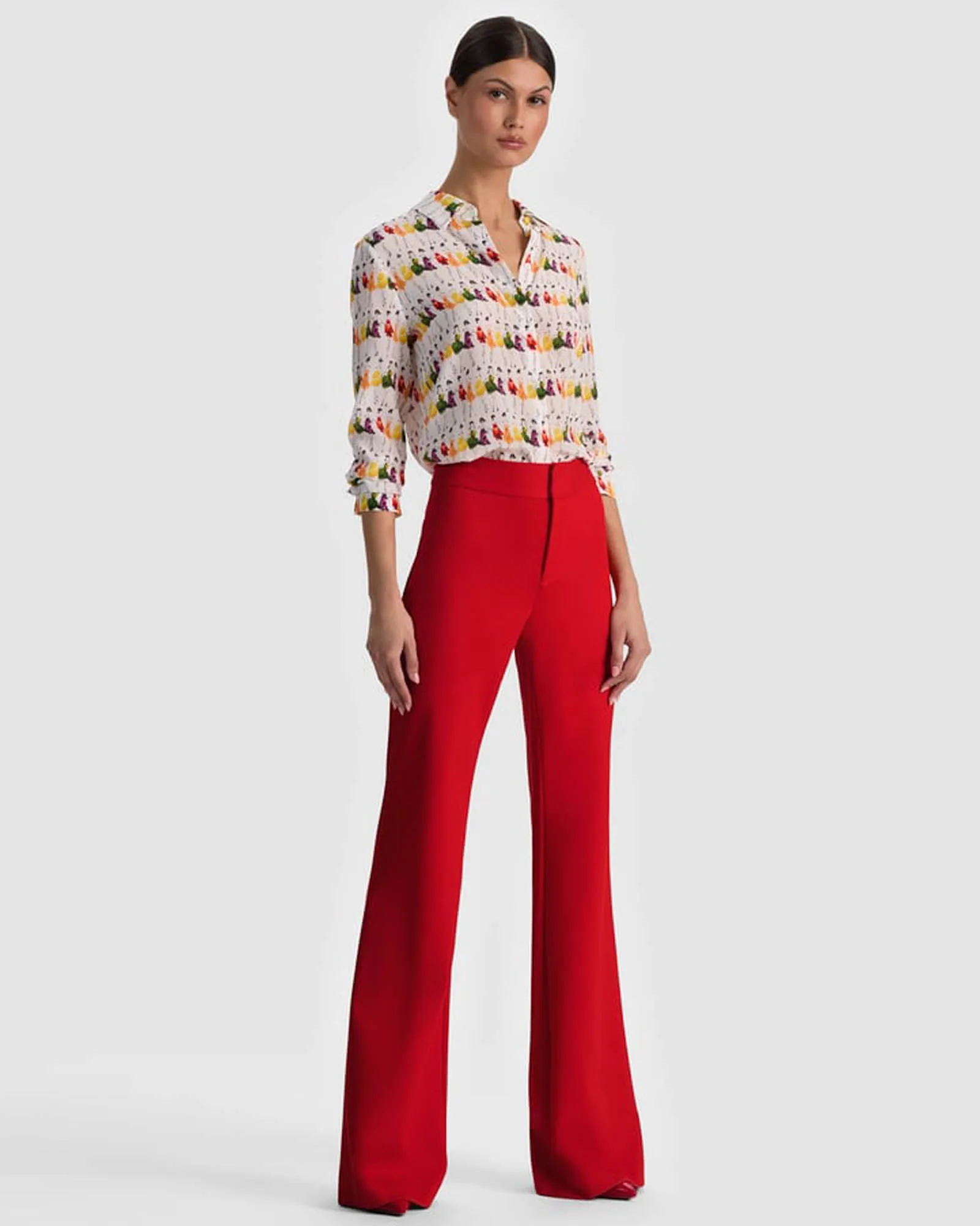Andrew Botcut Pant sold by TNT Fashion product image thumbnail 4