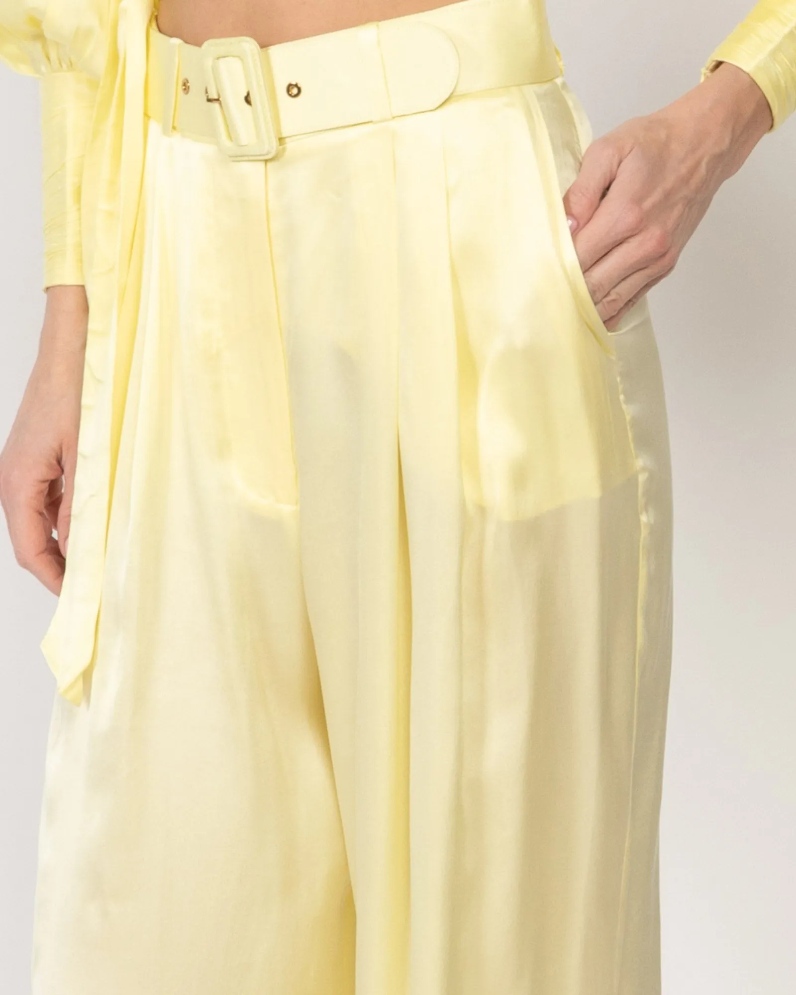 Silk Tuck Pants sold by TNT Fashion product image thumbnail 5