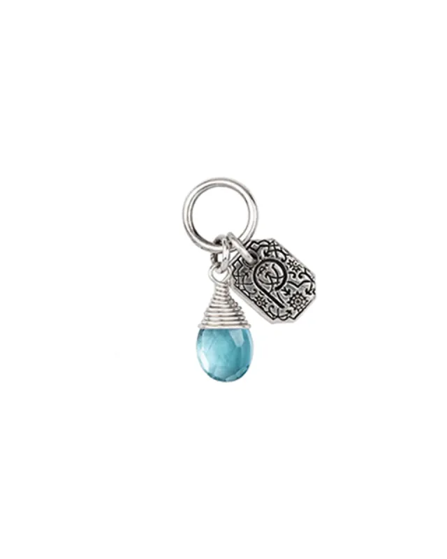 Family Signature Attraction Charm sold by Blue Ruby