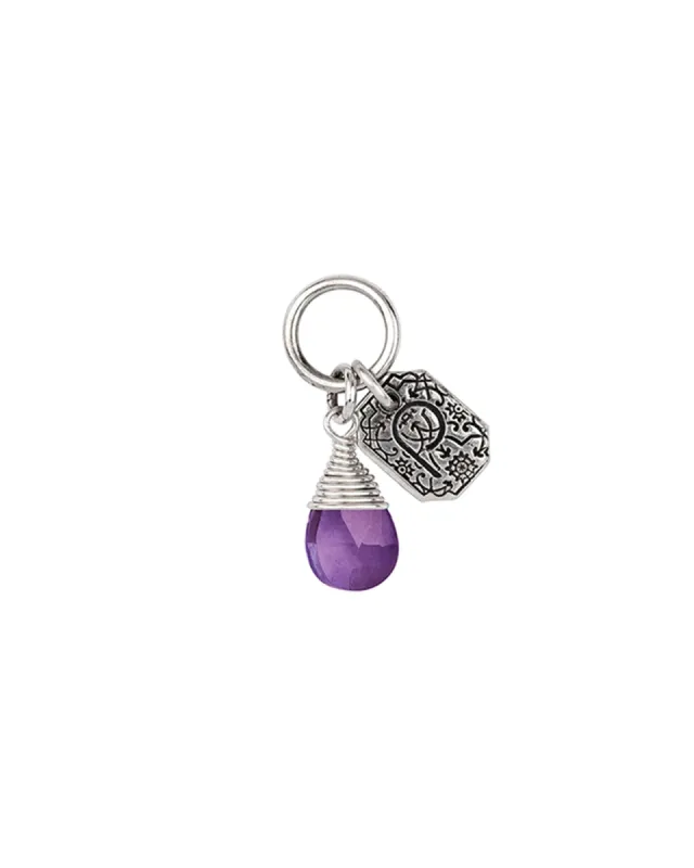 Balance Signature Attraction Charm sold by Blue Ruby