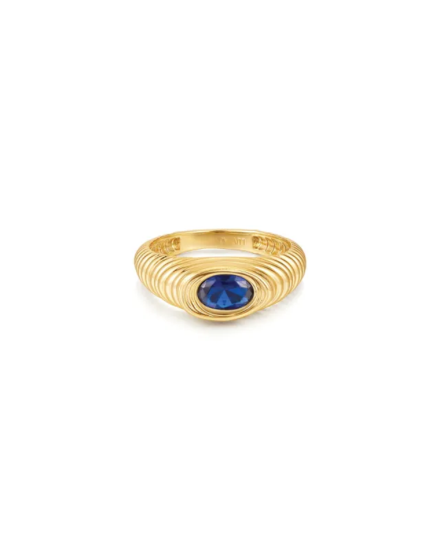 The Royale Stone Signet Ring sold by Blue Ruby
