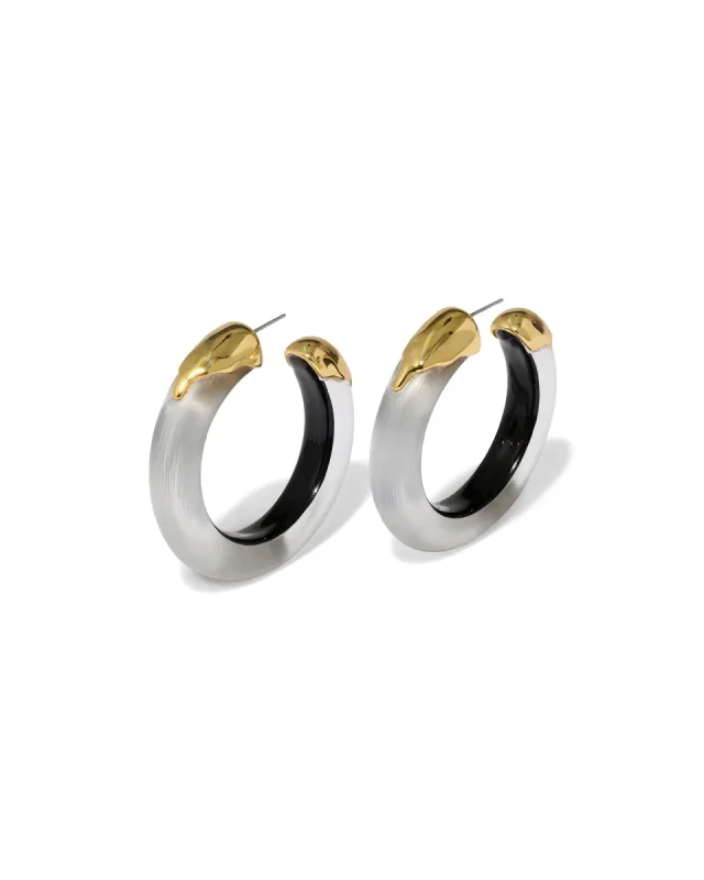 Luminous Lucite Gold Dipped Hoop Earrings sold by Blue Ruby