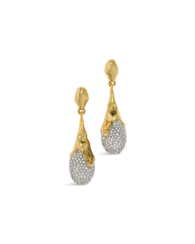 Solanales Crystal Teardrop Earrings sold by Blue Ruby