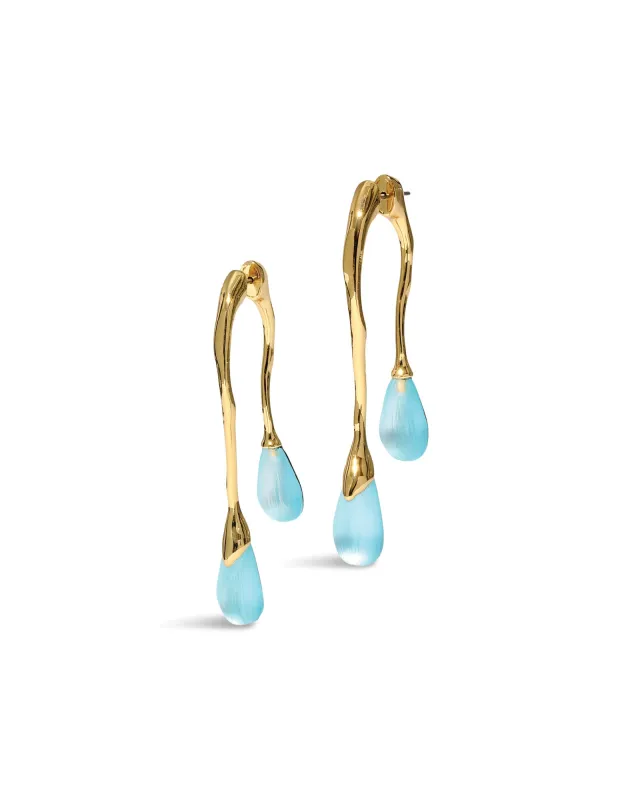 Lucite Front Back Double Drop Earring sold by Blue Ruby