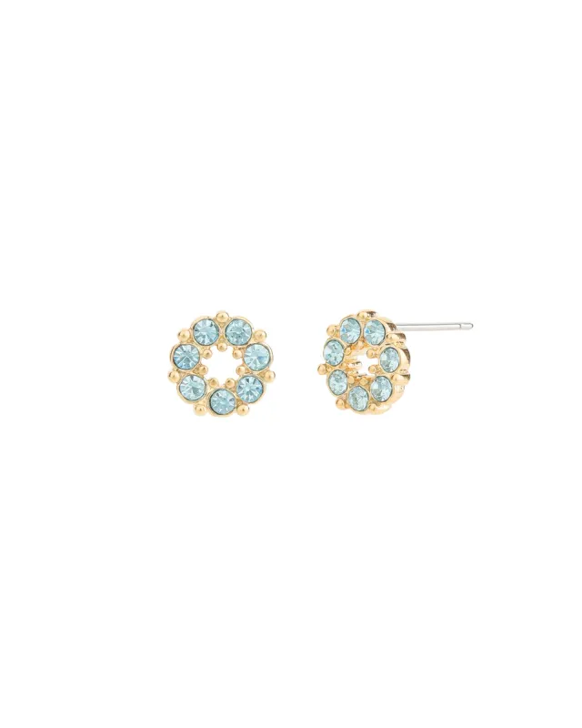 Circle Crystal Studs sold by Blue Ruby