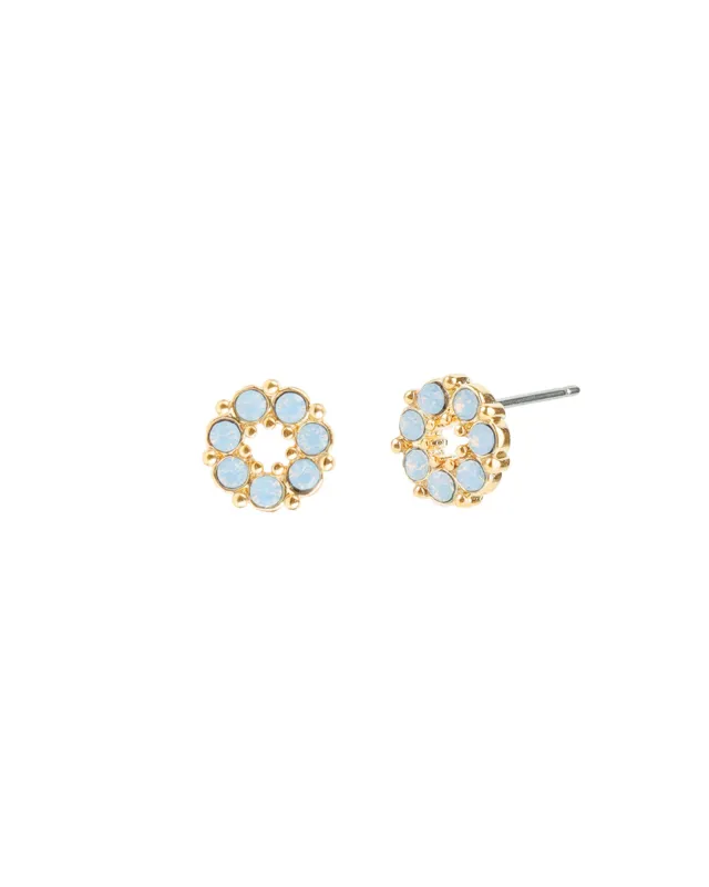 Circle Crystal Studs sold by Blue Ruby