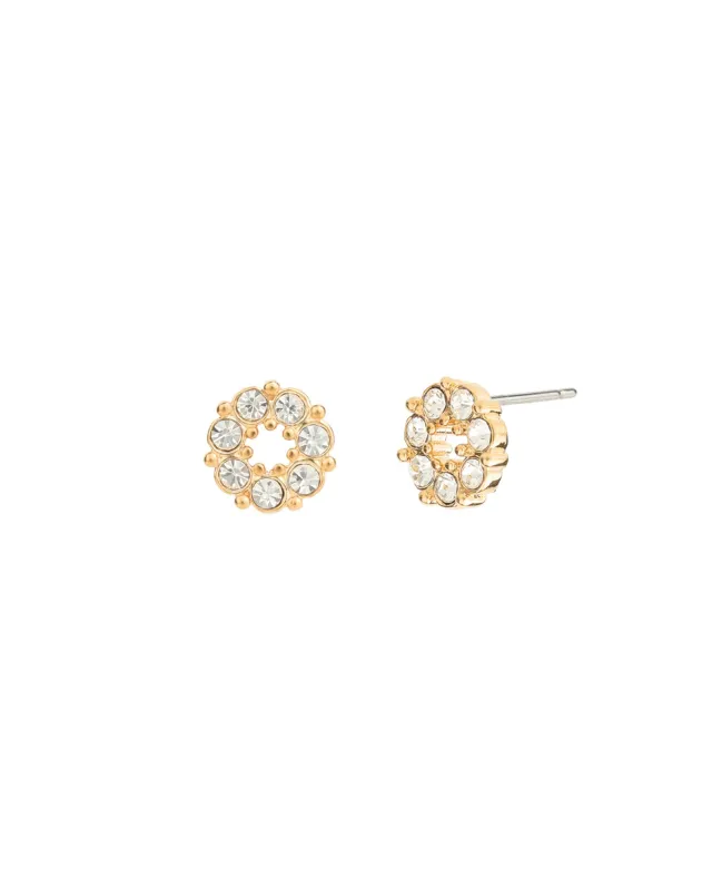 Circle Crystal Studs sold by Blue Ruby