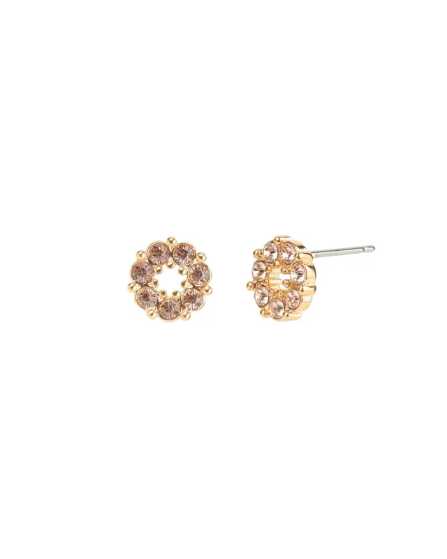 Circle Crystal Studs sold by Blue Ruby