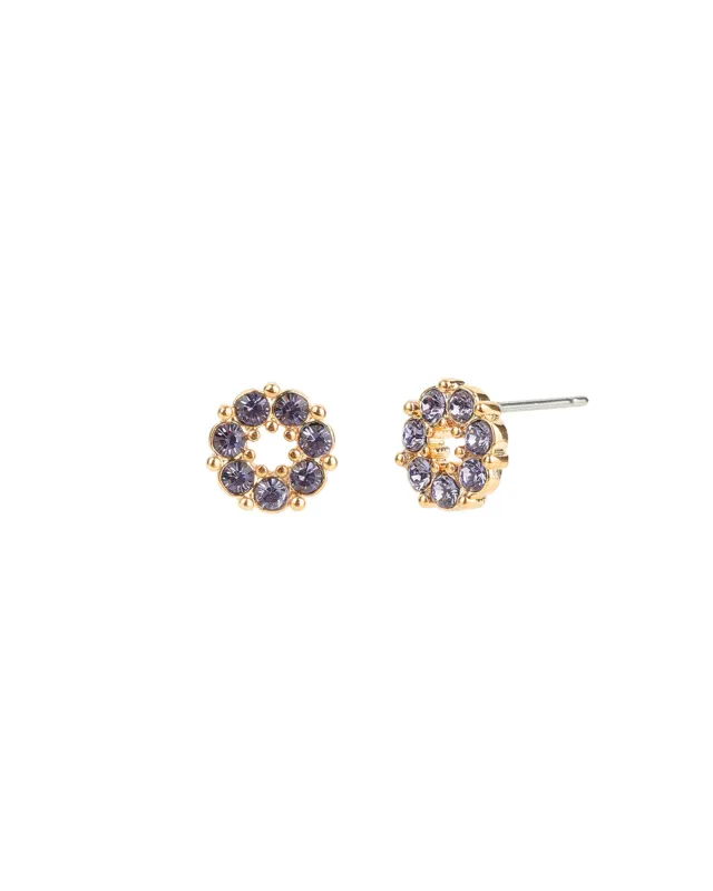 Circle Crystal Studs sold by Blue Ruby