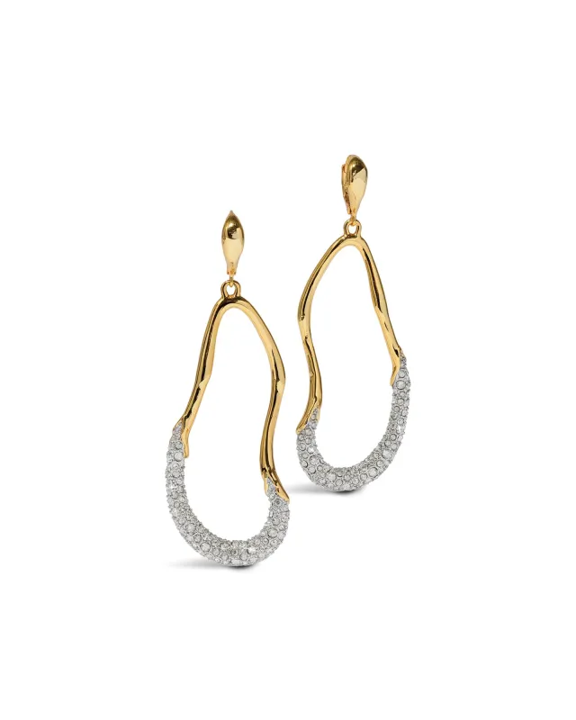 Solanales Crystal Curve Leverback Drop Earrings sold by Blue Ruby