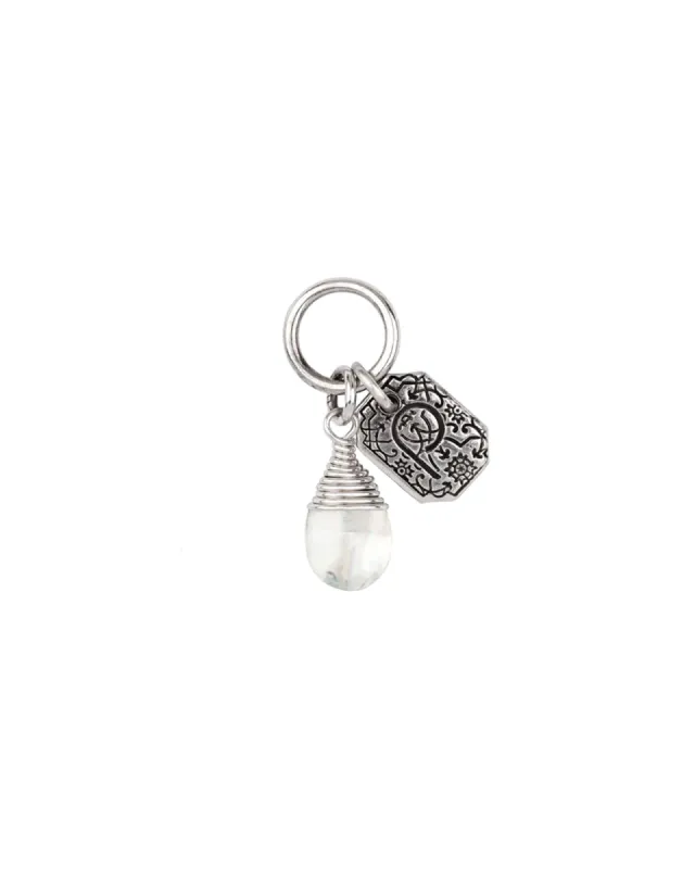 Positive Change Signature Attraction Charm sold by Blue Ruby