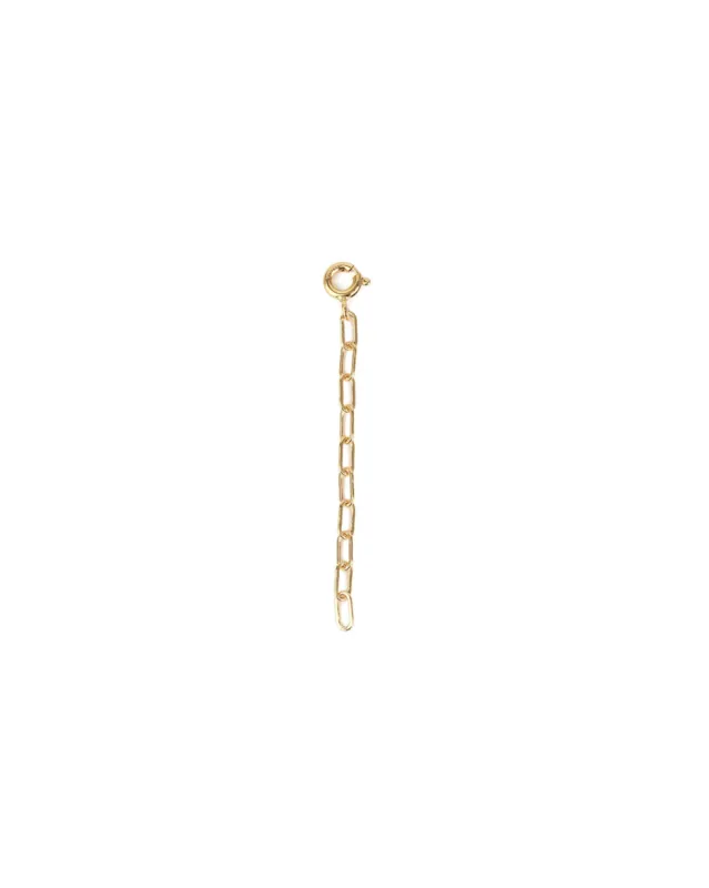 Medium Paperclip Chain Extender sold by Blue Ruby