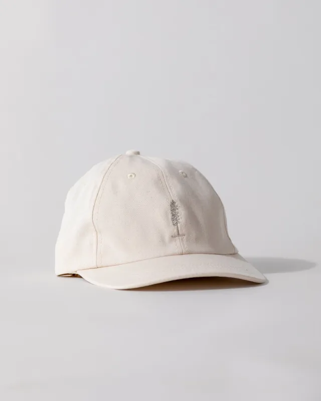 The Everyday Cap sold by Ecologyst