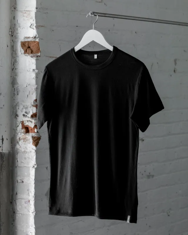 The 195 Merino Base Tee sold by Ecologyst