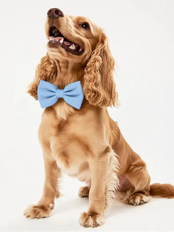Dog Crepe Bow Tie sold by ChicSew product image thumbnail 4