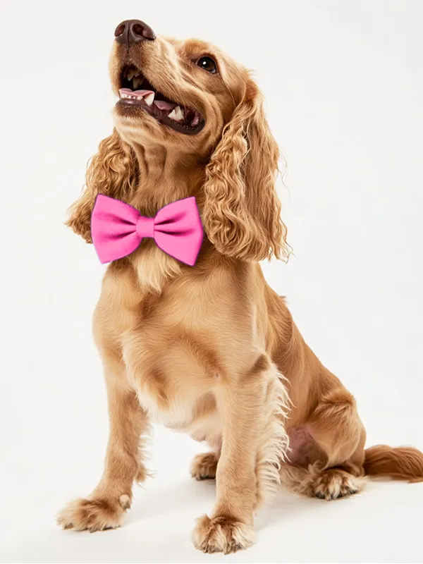Dog Crepe Bow Tie sold by ChicSew product image thumbnail 2