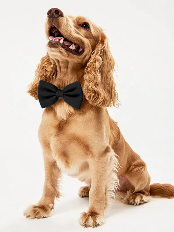 Dog Crepe Bow Tie sold by ChicSew product image thumbnail 3