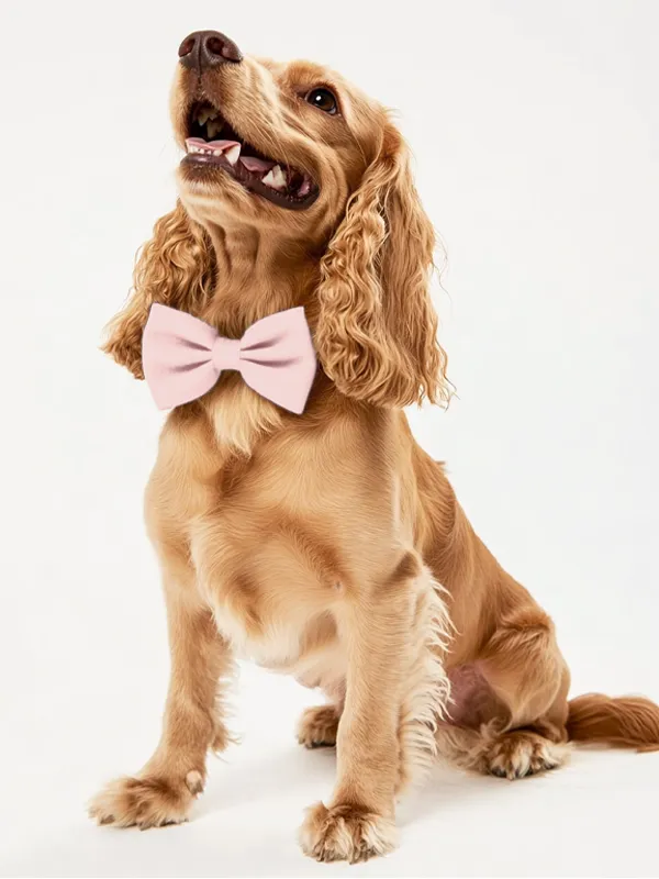 Dog Crepe Bow Tie sold by ChicSew product image thumbnail 5