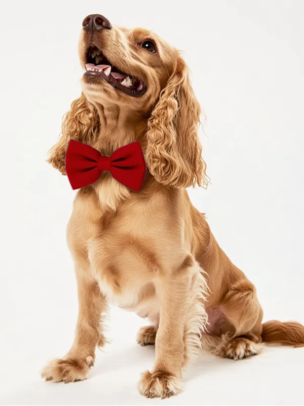 Dog Crepe Bow Tie sold by ChicSew