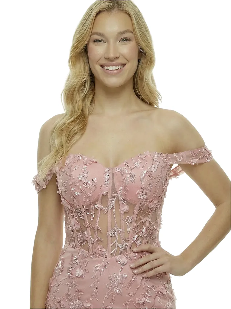 ChicSew Elegant Off Shoulder Prom Dress Lace Corset Tulle Mermaid Maxi Formal Evening Gown sold by ChicSew product image thumbnail 5