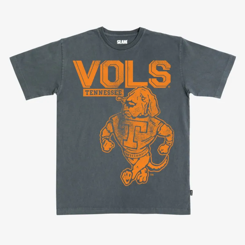 Tennessee Monochromatic Heavy Tee sold by SLAM Goods
