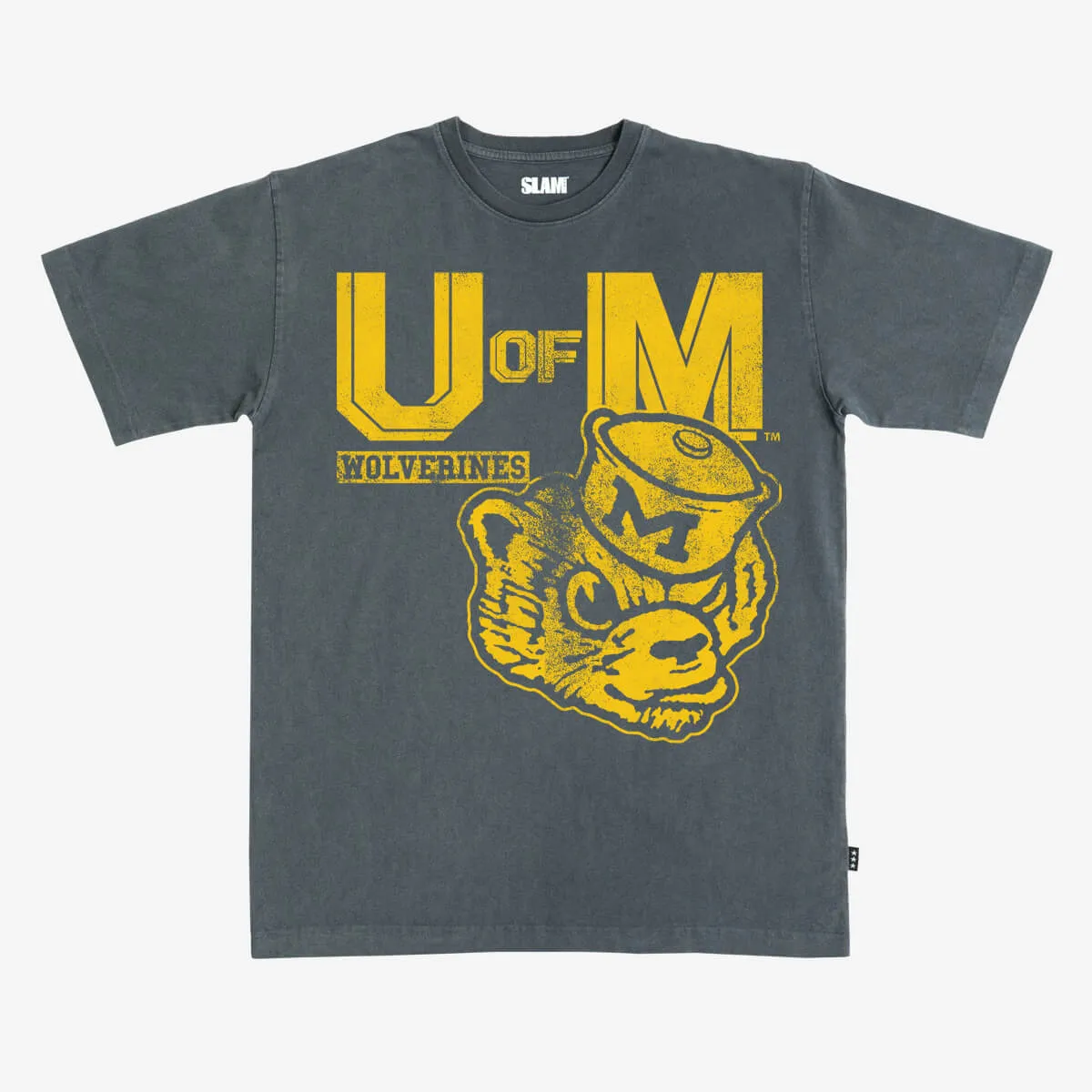 Michigan Monochromatic Heavy Tee sold by SLAM Goods