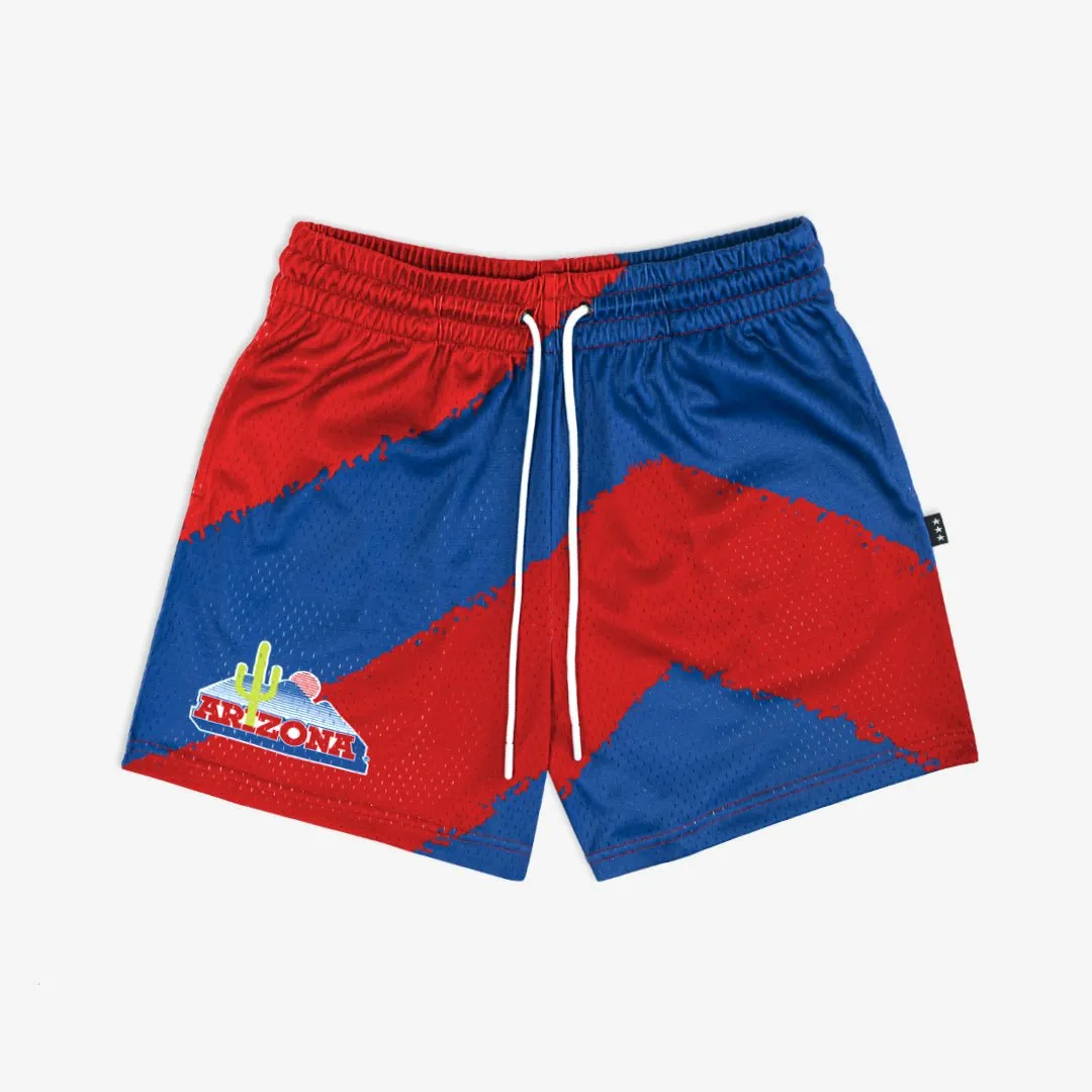 Arizona Big Stripe Fundamental Shorts sold by SLAM Goods