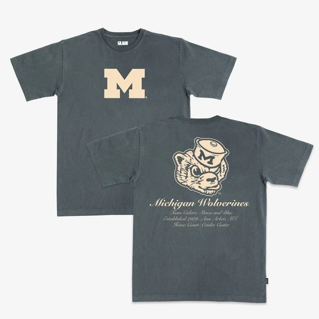 Michigan Homecourt Heavy Tee sold by SLAM Goods