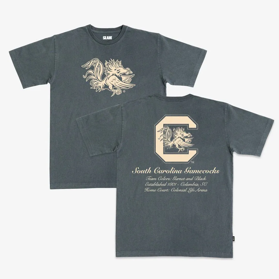 South Carolina Homecourt Heavy Tee sold by SLAM Goods
