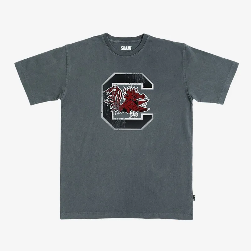 South Carolina Logo Heavy Tee sold by SLAM Goods