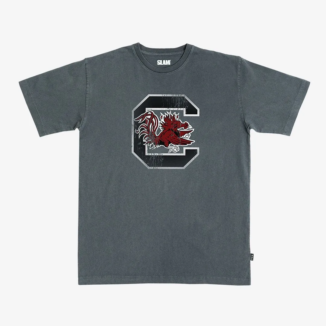 South Carolina Logo Heavy Tee sold by SLAM Goods