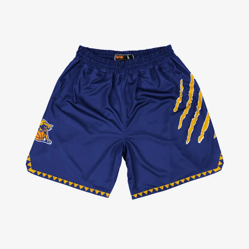 Pittsburgh Panthers 1995-1996 Retro Shorts (Away) sold by SLAM Goods